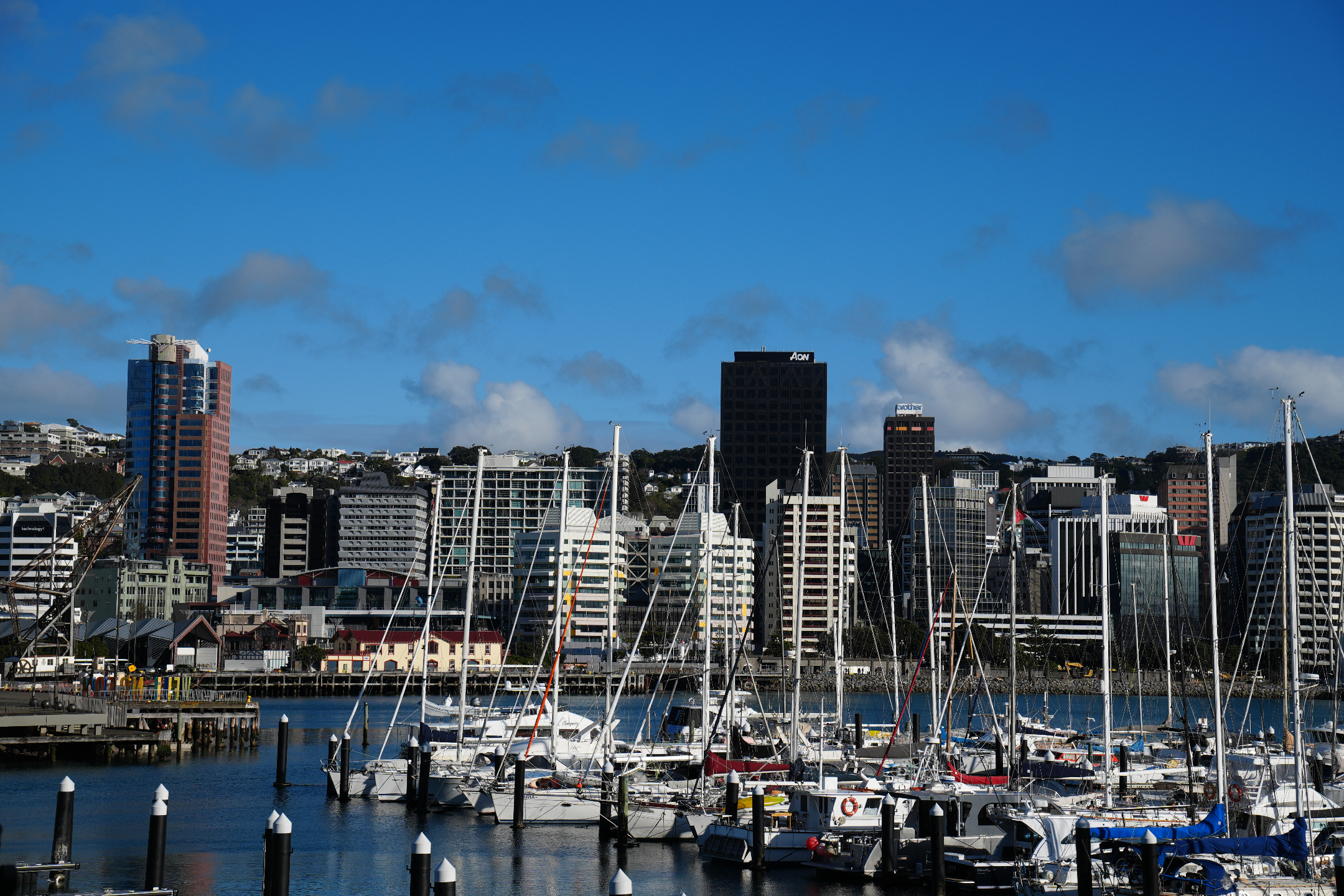 wellington city's skyline daytime