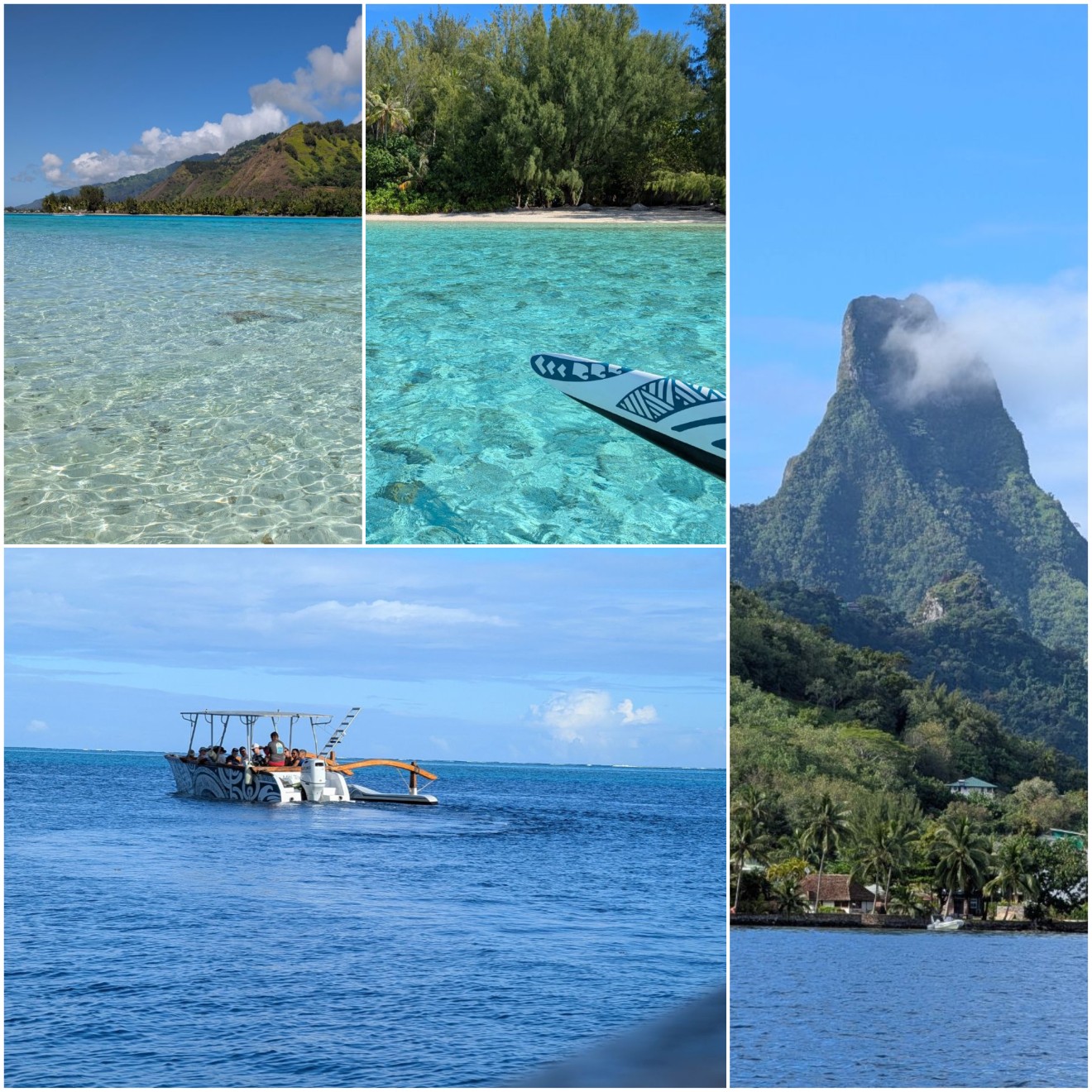 moorea miti tours boat and views