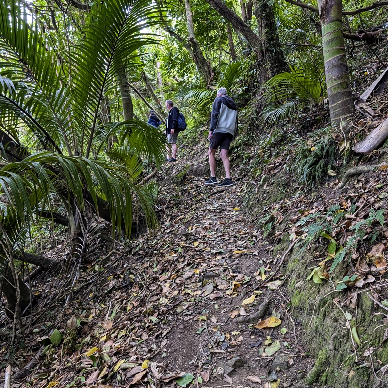 Steep track Step climb track